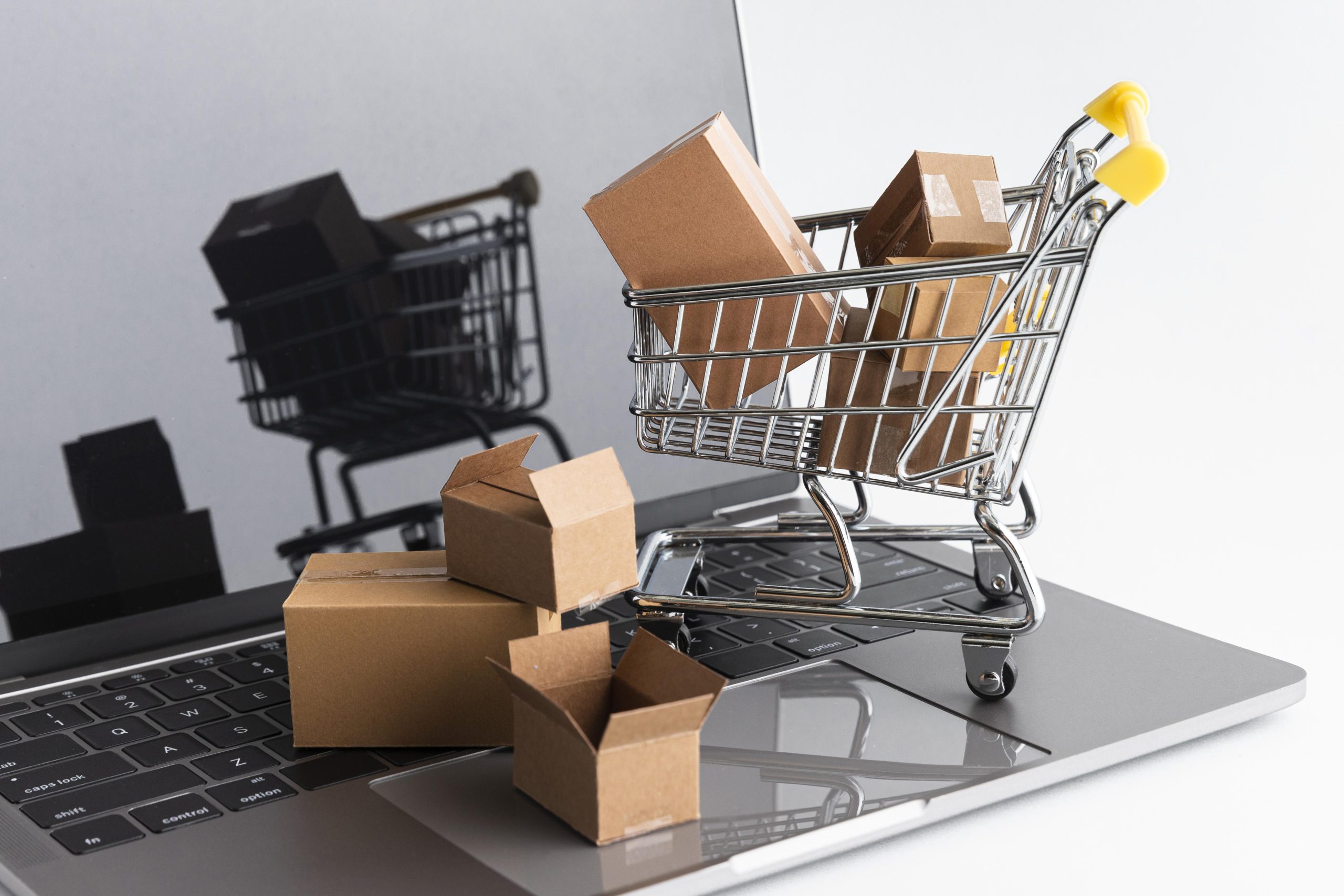 eCommerce Software Development Company